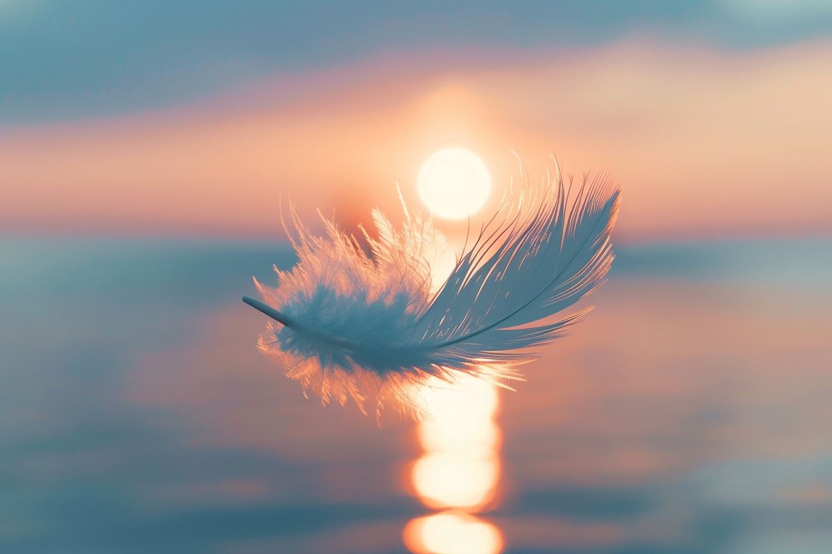 Closeup of a feather floating in the air, symbolizing destiny and chance.